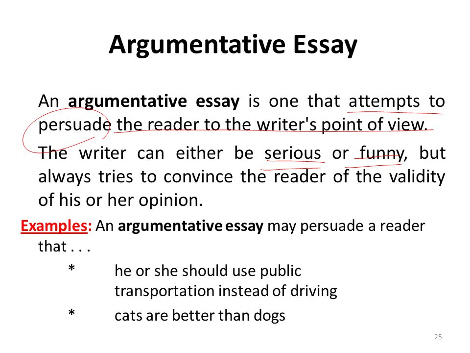 Structuring a Source-Based Essay